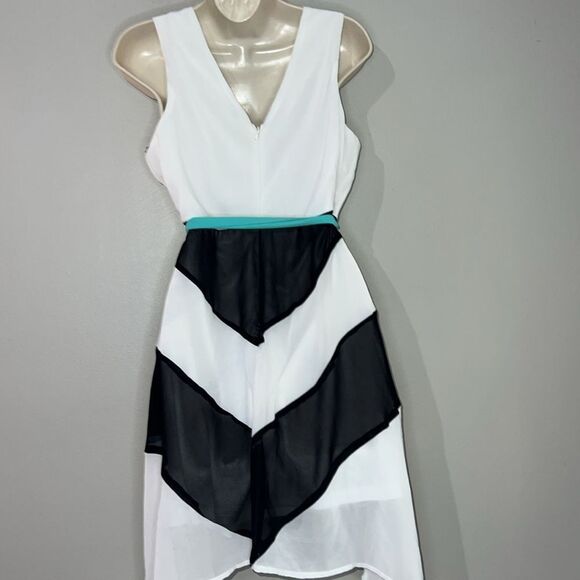 Charming Charlie sleeveless belted chevron print dress - Picture 6 of 9
